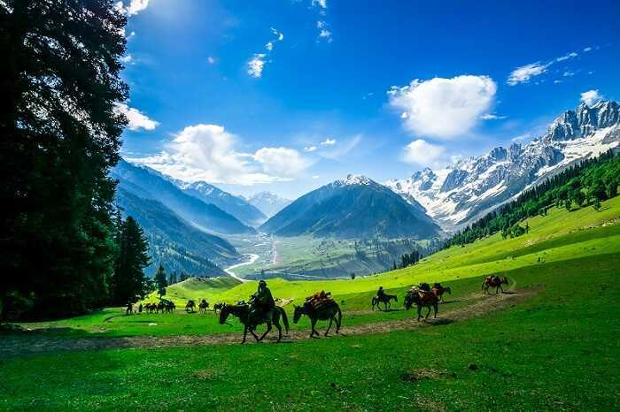 Sonmarg Kashmir