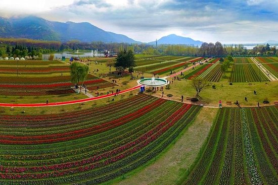 srinagar Kashmir